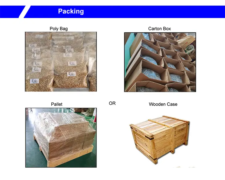 Metal Stamped Parts